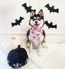 Load image into Gallery viewer, fright night π