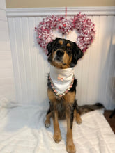 Load image into Gallery viewer, full bloom π