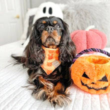 Load image into Gallery viewer, pumpkin bears π