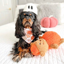 Load image into Gallery viewer, pumpkin bears π