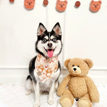 Load image into Gallery viewer, frolicking bears π