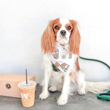 Load image into Gallery viewer, iced coffee ☕️