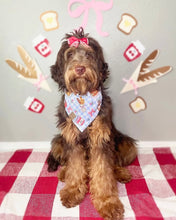 Load image into Gallery viewer, picnic 🧺