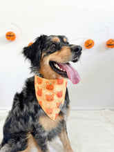 Load image into Gallery viewer, pumpkin bears π