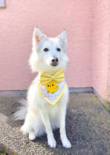 Load image into Gallery viewer, gingham easter cutie π£