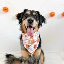 Load image into Gallery viewer, pumpkin bears π