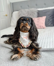 Load image into Gallery viewer, full bloom π