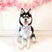 Load image into Gallery viewer, blue blossoms πΈ