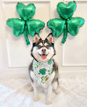 Load image into Gallery viewer, clovers ☘️