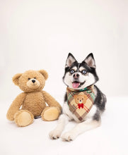 Load image into Gallery viewer, cozy bears π»