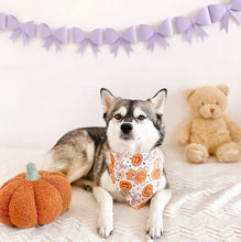 Load image into Gallery viewer, pumpkin bears π