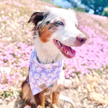 Load image into Gallery viewer, oopsie daisy ✿