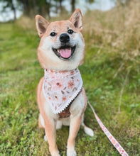 Load image into Gallery viewer, pom pom add on