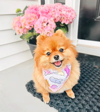 Load image into Gallery viewer, pastel peeps 💟
