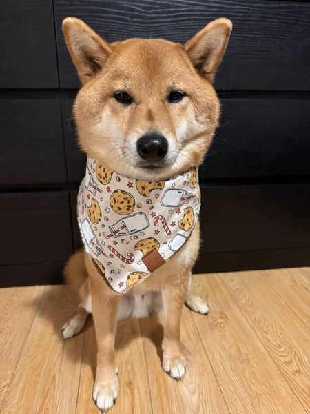 milk and cookies 🍪