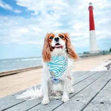 Load image into Gallery viewer, salty sea 🌊
