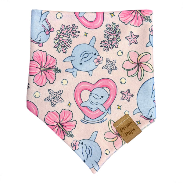 dolphin-ately cute 💖