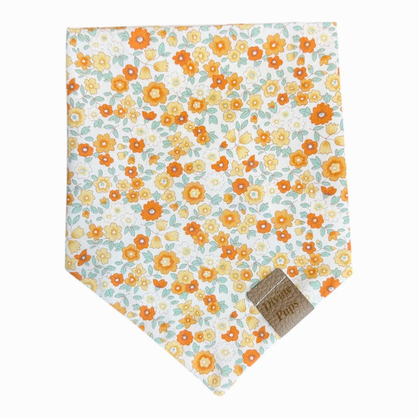 marigold meadow 🧡