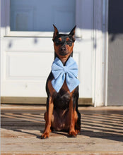 Load image into Gallery viewer, velvet blue bow 🎀
