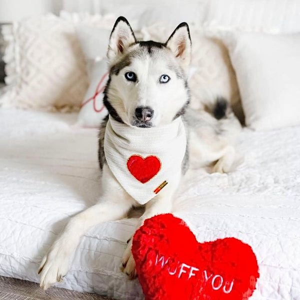 true love ❤️‍🔥