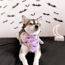 Load image into Gallery viewer, fright night 🌙
