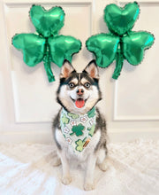 Load image into Gallery viewer, clovers ☘️
