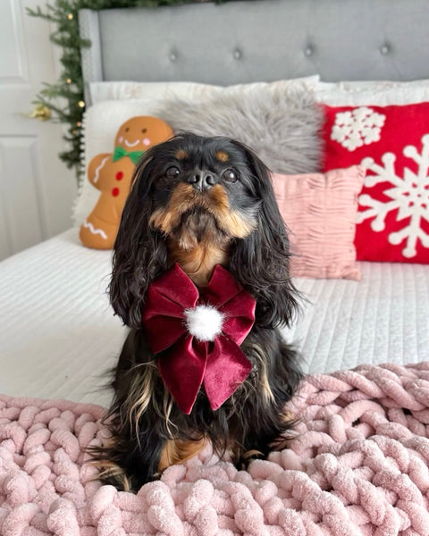 fluffy burgundy sailor bow
