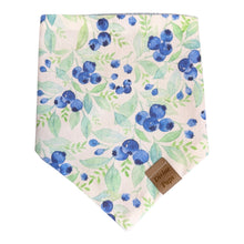 Load image into Gallery viewer, blueberries 🫐
