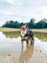 Load image into Gallery viewer, sunflowers 🌻

