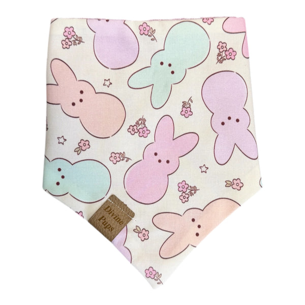 sugar bunnies 💕