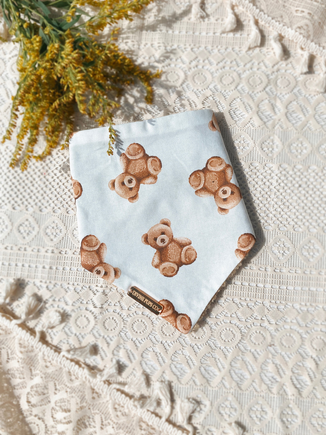 cozy teddies 🧸