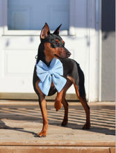 Load image into Gallery viewer, velvet blue bow 🎀
