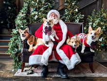 Load image into Gallery viewer, vintage holiday sailor bow
